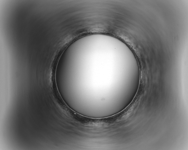 X0000096960201200802221349