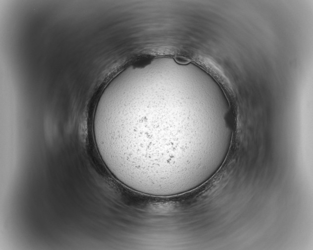 X0000096960202200802221349