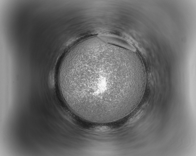 X0000096960203200802221349