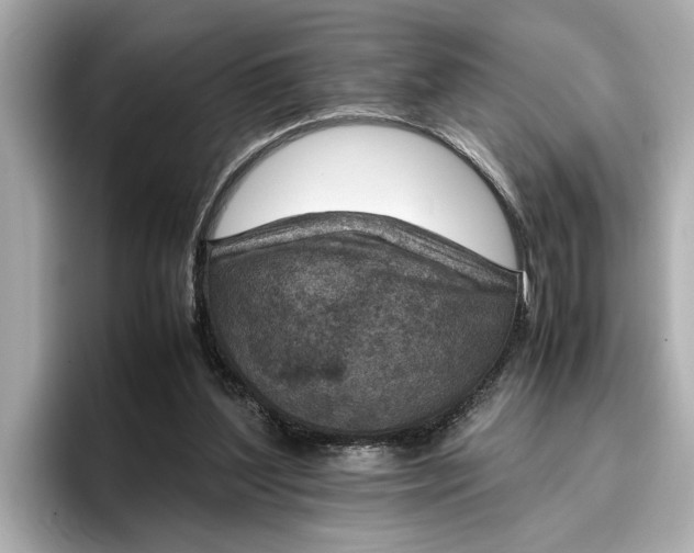 X0000096960204200802221349