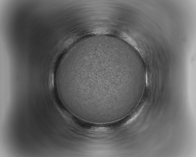 X0000096960205200802221349