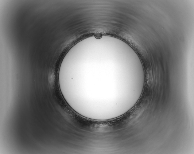 X0000096960208200802221349