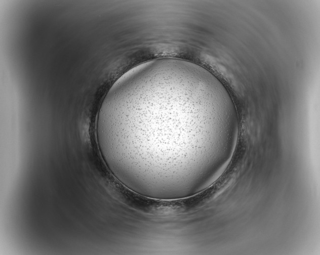 X0000096960209200802221349