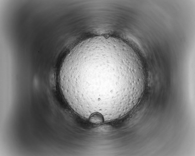 X0000096960210200802221349