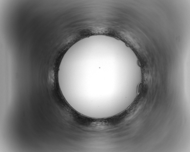 X0000096960211200802221349