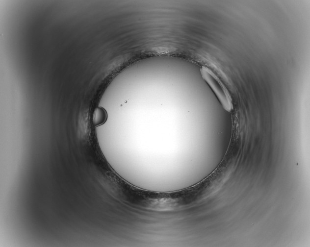 X0000096960212200802221349