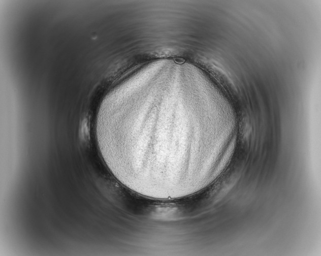 X0000096960214200802221349