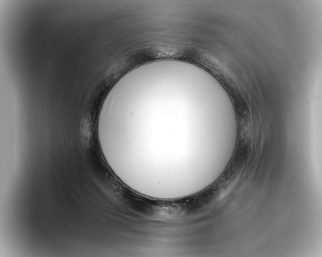 X0000096960215200802221349