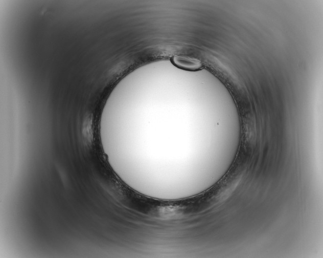 X0000096960216200802221349