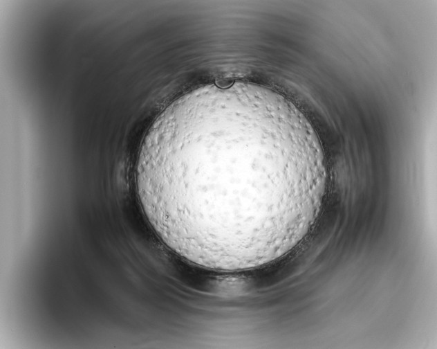 X0000096960218200802221349