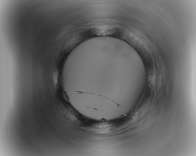 X0000096960219200802221349