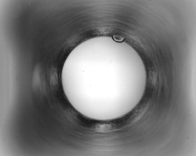 X0000096960220200802221348