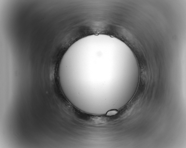 X0000096960221200802221348