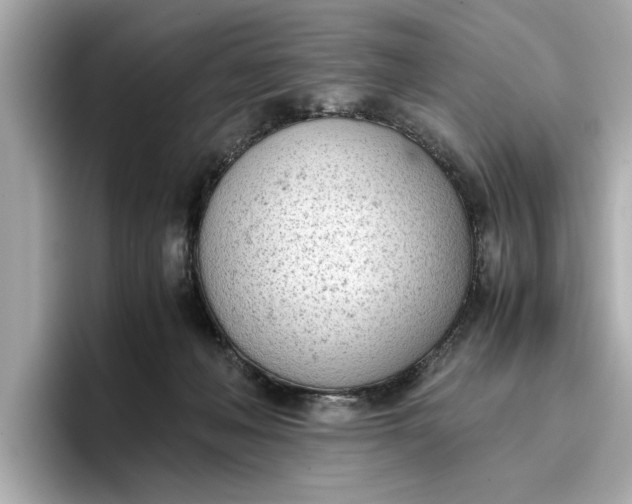 X0000096960222200802221348