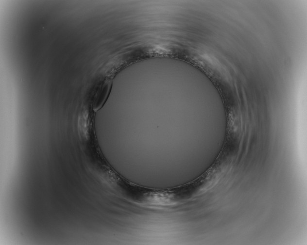 X0000096960223200802221348