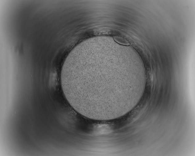 X0000096960224200802221348