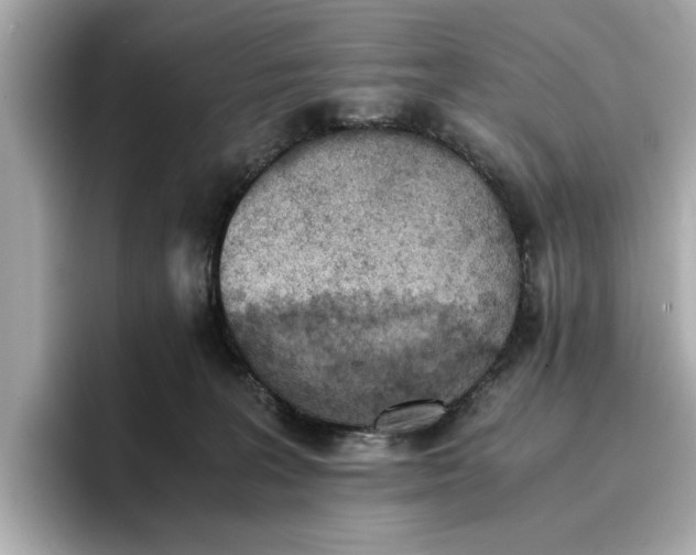 X0000096960227200802221348