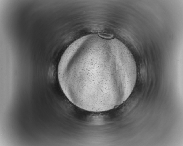 X0000096960228200802221348