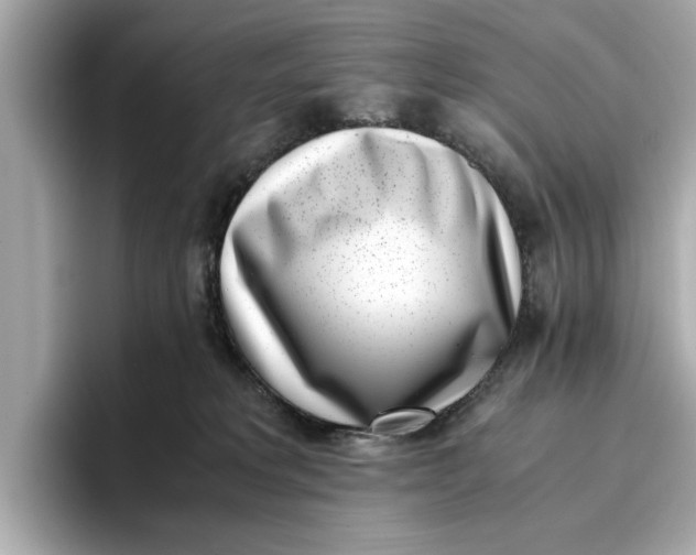 X0000096960229200802221348