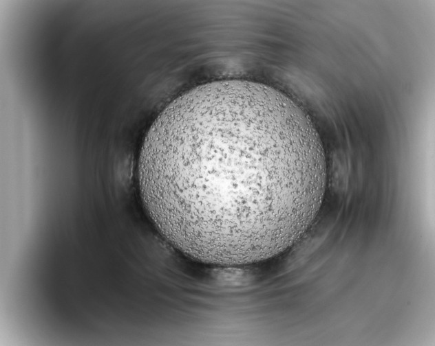 X0000096960230200802221348