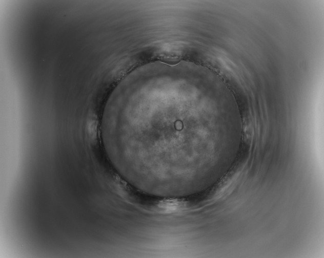 X0000096960231200802221348