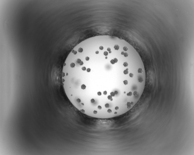 X0000096960234200802221348