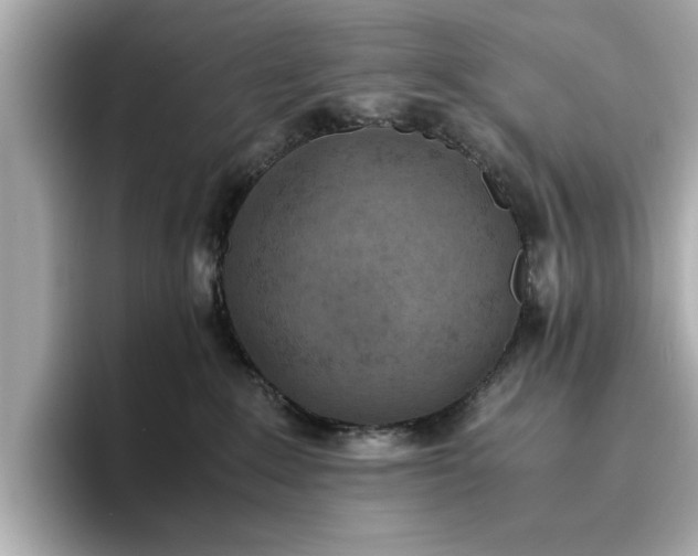 X0000096960235200802221348