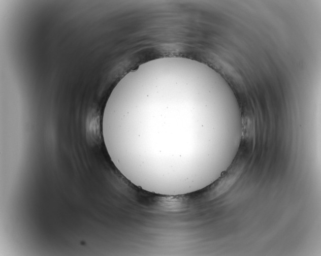 X0000096960238200802221348