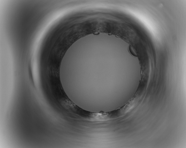 X0000096960239200802221348