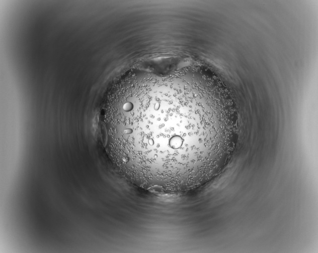 X0000096960240200802221348