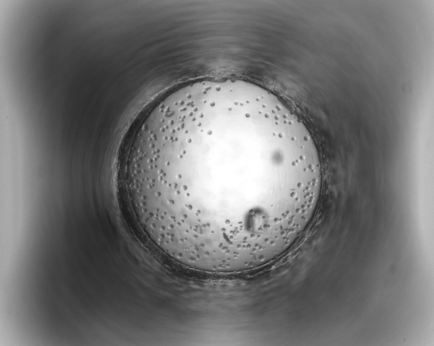 X0000096960242200802221348