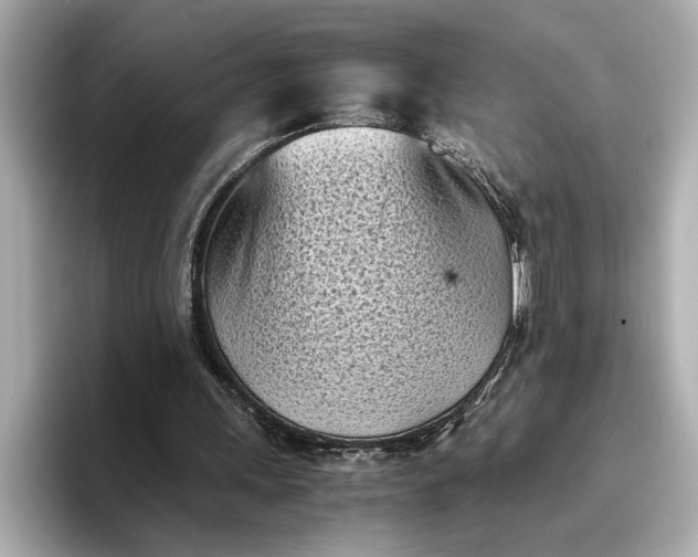 X0000096960243200802221348