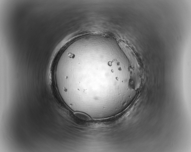 X0000096960246200802221348