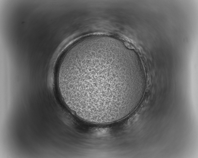 X0000096960247200802221348