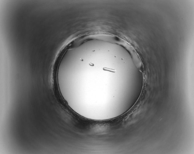 X0000096960248200802221348