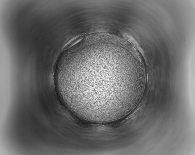 X0000096960249200802221348