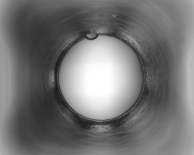 X0000096960251200802221348