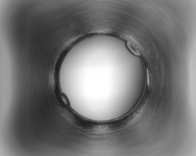 X0000096960252200802221348