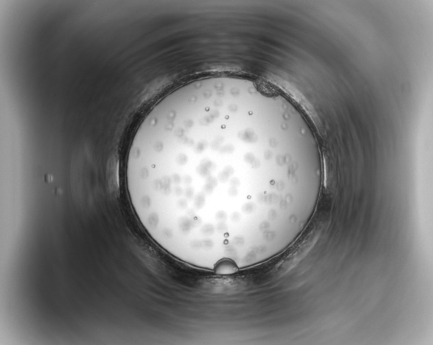 X0000096960253200802221348