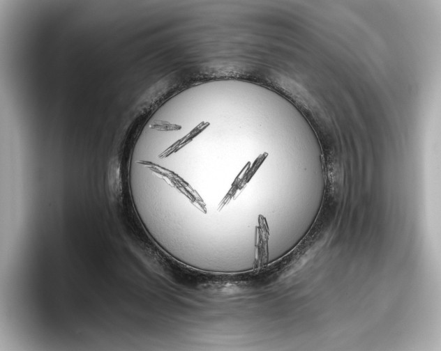 X0000096960254200802221348