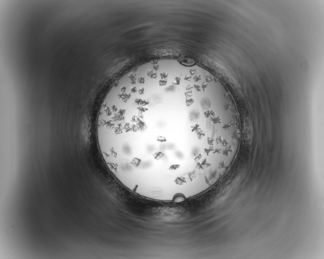 X0000096960255200802221348