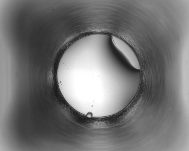 X0000096960256200802221348