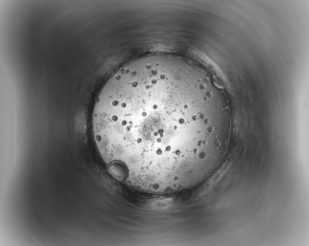 X0000096960257200802221348