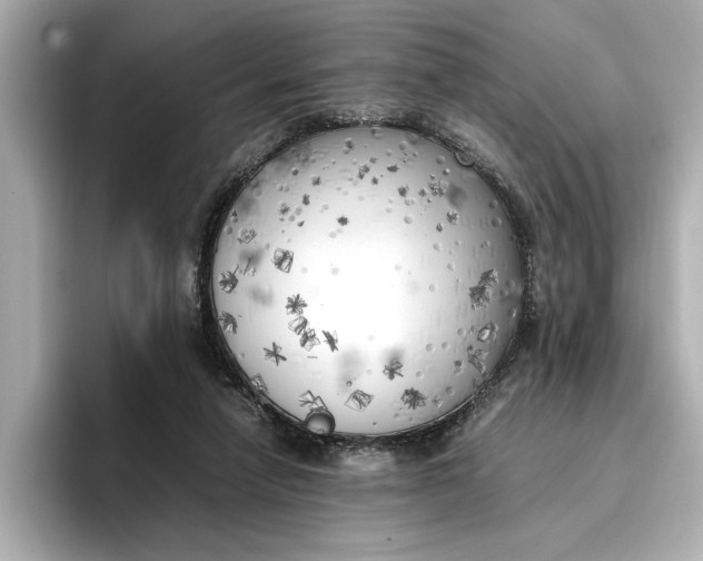 X0000096960258200802221348