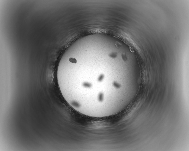 X0000096960259200802221348