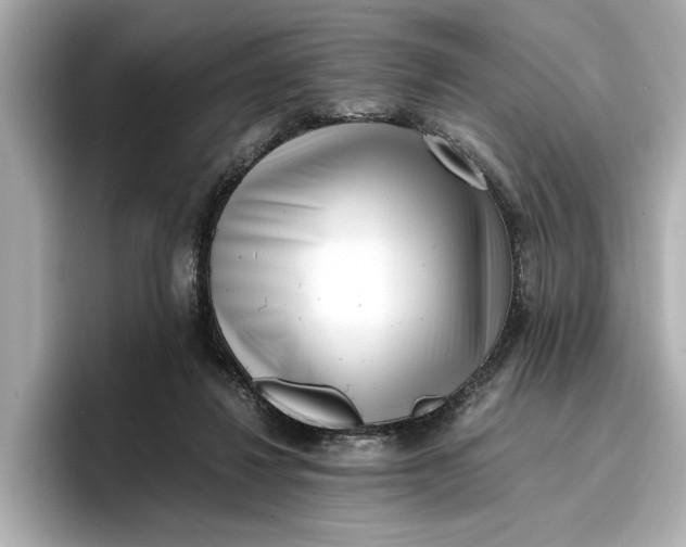 X0000096960260200802221348