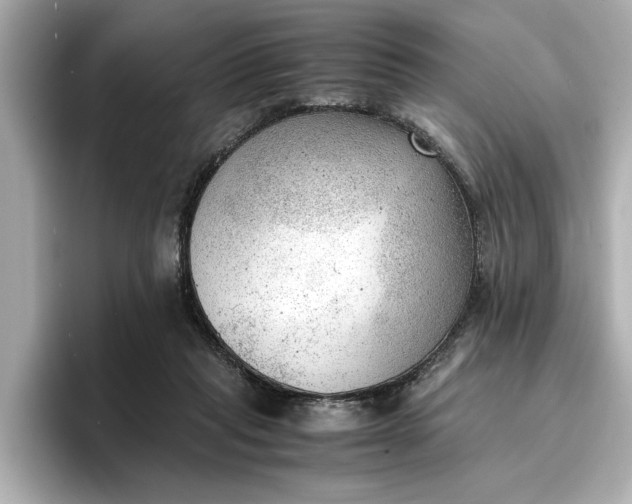 X0000096960261200802221348