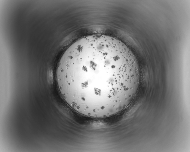 X0000096960262200802221348