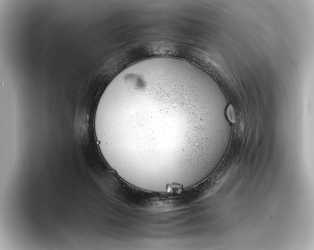 X0000096960263200802221348