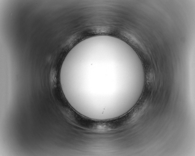 X0000096960264200802221348